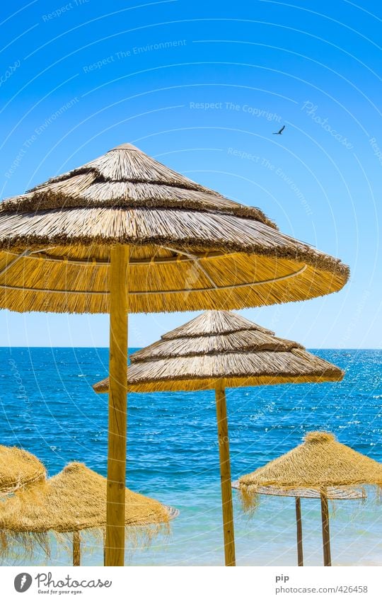 sunblock Nature Water Sky Summer Beautiful weather Warmth Coast Ocean Sunshade Umbrellas & Shades Blue Brown Yellow Vacation & Travel Tourism Thatched roof