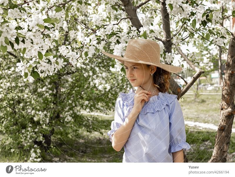 Portrait of a cute cute pensive girl in a straw hat in a blooming garden. Spring photo shot against the background of blooming apple trees. Happy child. Copy space