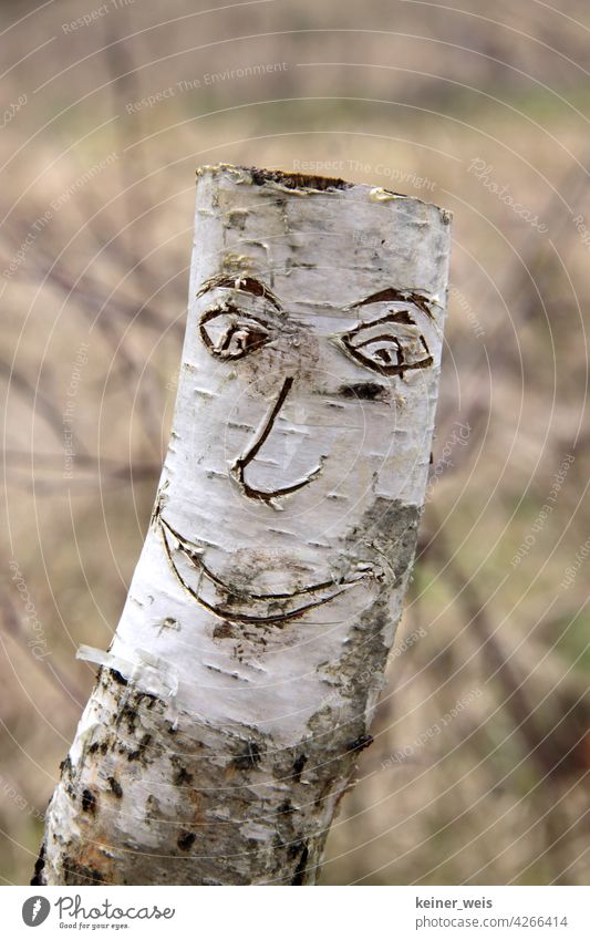 A laughing face was cut into a birch bark on a sawed off birch tree Face Birch tree birch trunk Birch bark Wood sawn off White Tree Nature Exterior shot