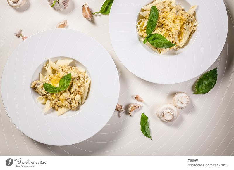 Appetizing penne pasta with mushrooms, cheese parmesan creamy sauce and fresh basil. Traditional Mediterranean cuisine. Two servings on a light background. Top view. Copy space