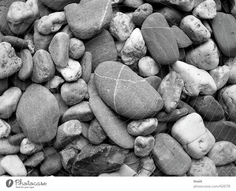stones Pebble Gravel Beach Black & white photo TIF Close-up
