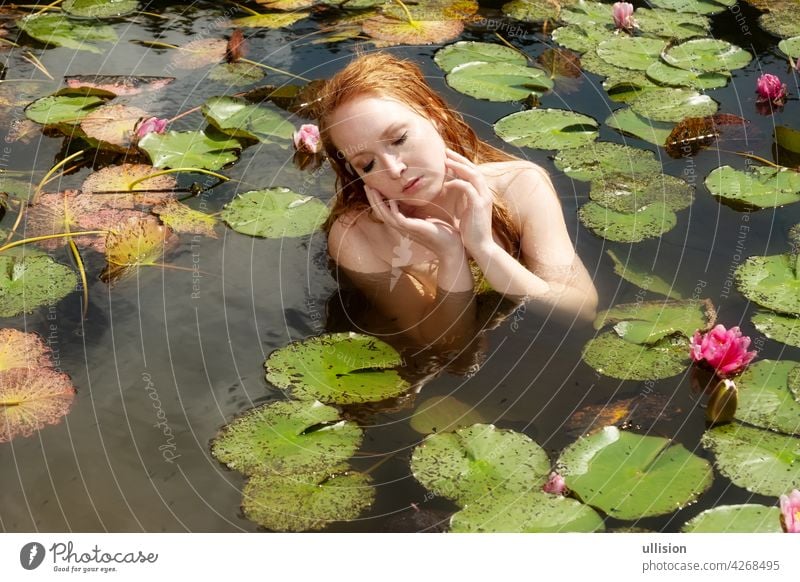 Portrait of sexy young redhead woman mermaid sits seductive with pink water lilies in the water, lake, pond waterlilies sensitive elegance swim scene ophelia