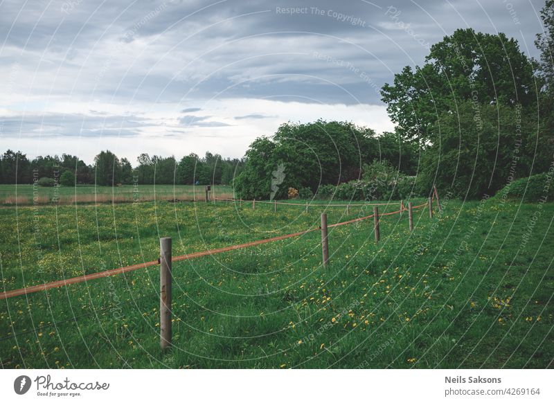 electrical wire fence around a pasture landscape grass sky field nature farm green summer countryside meadow rural blue agriculture tree clouds wooden trees
