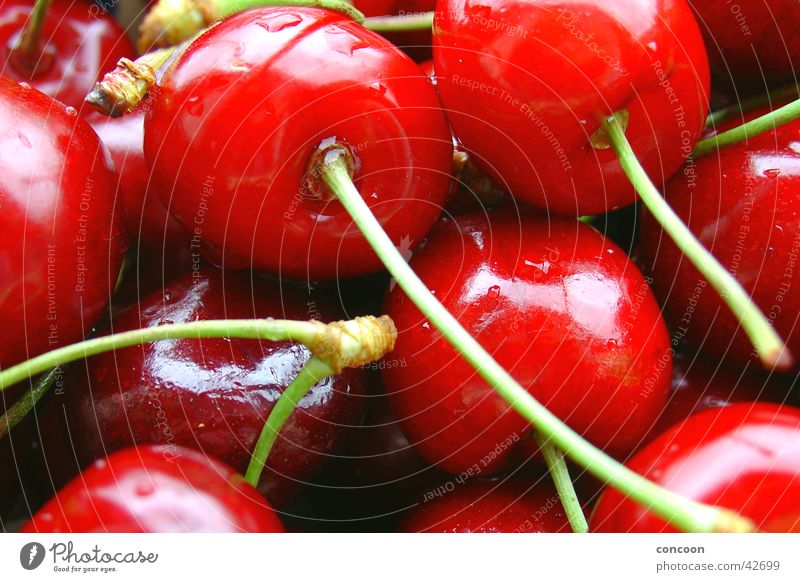 Red & crisp I Cherry Summer Drops of water Delicious Fresh Sweet Glittering Juicy Fruit