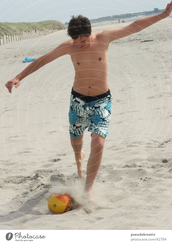 beatle Beach Action Playing Sports Soccer Ball Volleyball (sport) Sand Shot Feet
