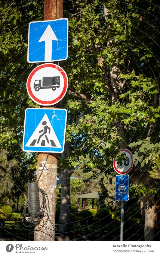 Three road signs among the trees under the bright morning sunlight. straight forward direction bus line stop zebra crossing pedestrian icon symbol travel nature