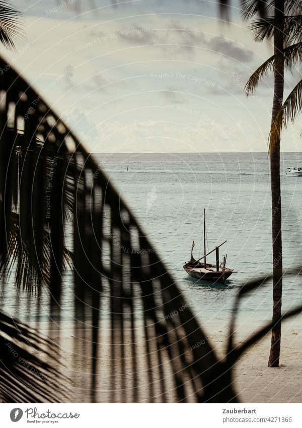 Traditional sailing boat in the Maldives in front of a beach with palm trees Sailboat Beach wooden boat palms Ocean Water Vacation & Travel coast Sand Island