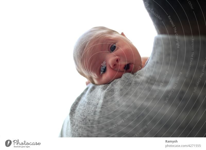 Child looking over dads shoulder looking surprised. child baby infant boy girl kid newborn family small adorable cute childhood care young little beautiful