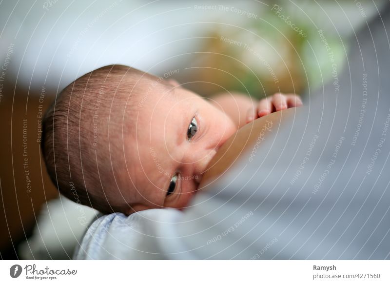 Mother breastfeeding child. infant boy girl baby cute adorable Beautiful precious health healthy wellness natural hand mother mom parent love family happy