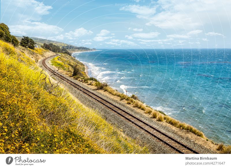 Pacific railroad along the coast of California with blooming wildflowers in springtime california railway pacific big sur travel ocean train landscape beach
