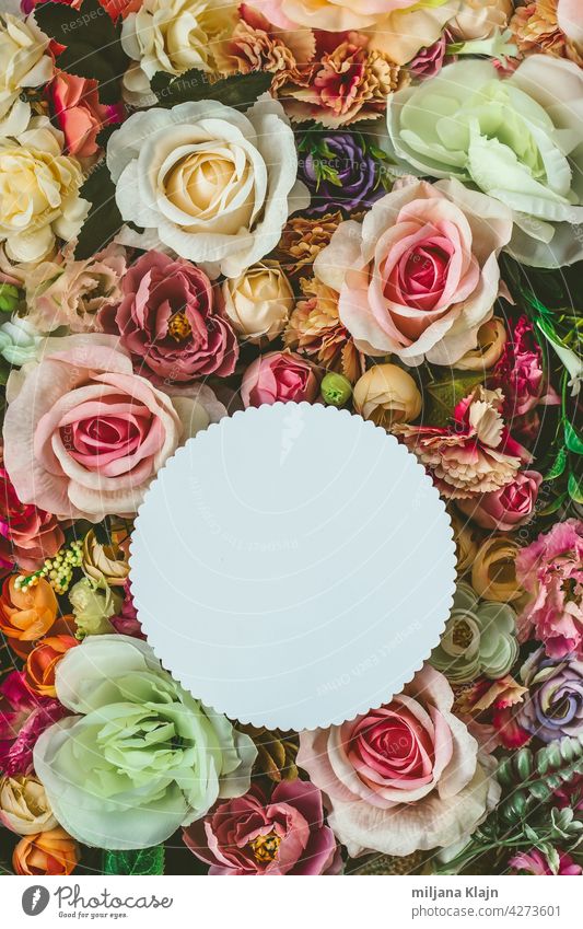 Beautiful colorful flowers wall background, with white circle greeting card with copy space; Spring, wedding, anniversary or florist greeting card advertising