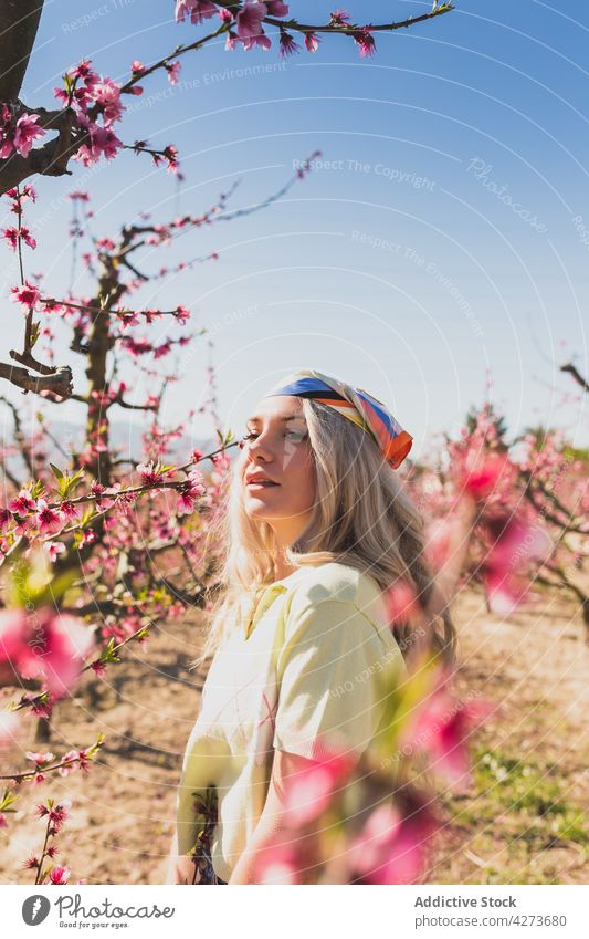 Woman near blooming flowers of tree woman garden branch farm aroma scent female sunlight flora fresh growth delicate sunshine plant aromatic petal blossom