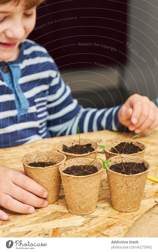 kids planting seeds in cups