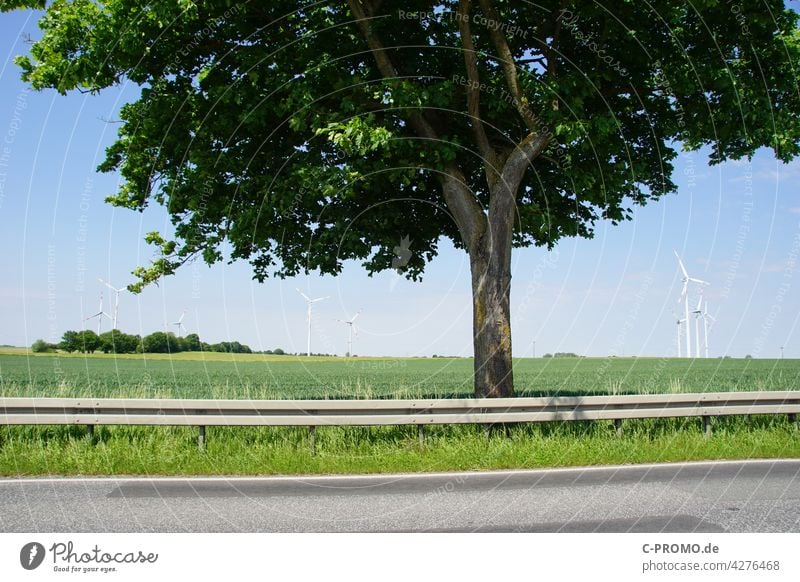 Tree on federal road in front of field with wind turbines Street Crash barrier Wind energy plant Field Landscape Pavement Pinwheel