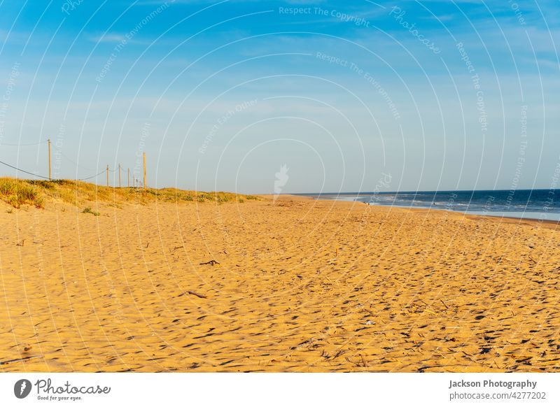 Wide sandy Faro beach with dunes and walkways by the sunset, Algarve, Portugal faro algarve portugal plant pole path wooden boardwalk algarve coast atlantic