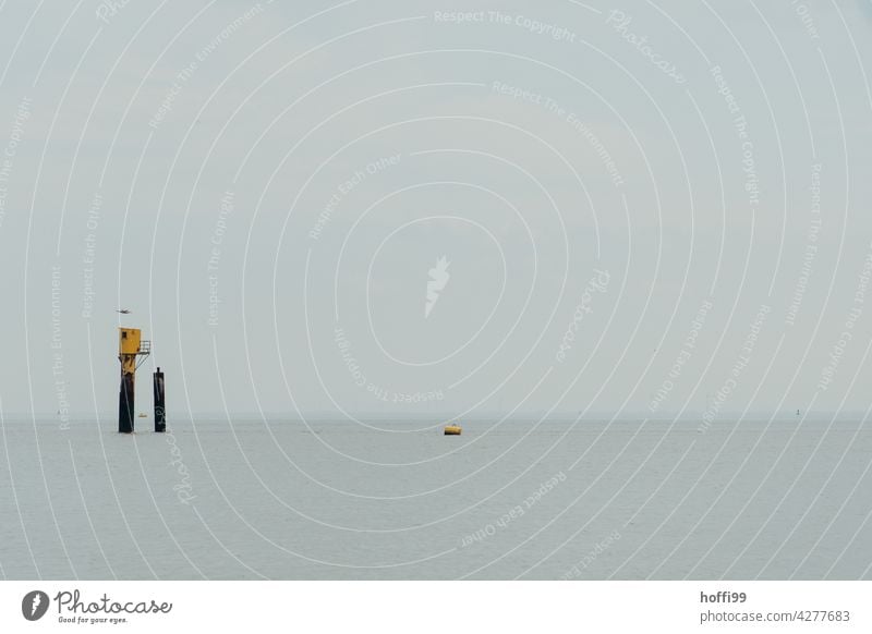 Rescue beacon with seagull and buoy in the Wadden Sea Loneliness calm water Rescue equipment Mud flats shallow water Buoy Minimalistic North Sea coast Beach
