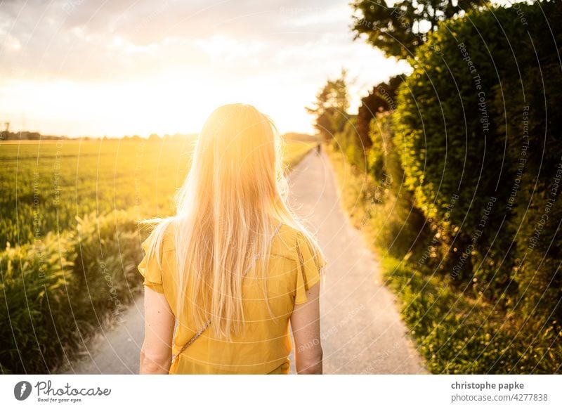Rear view blonde woman walking in the evening on field, low sun Woman To go for a walk Field Evening Blonde Sun off the beaten track evening light Summer hair