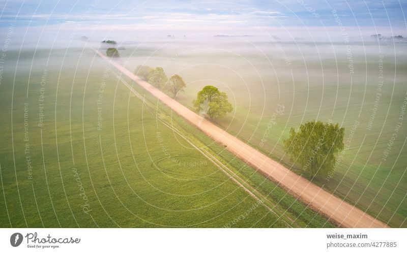 Aerial view of rural dirt road and trees covered by fog. Early misty morning. Spring summer fields. Rainy overcast moody weather cloud rain agriculture panorama