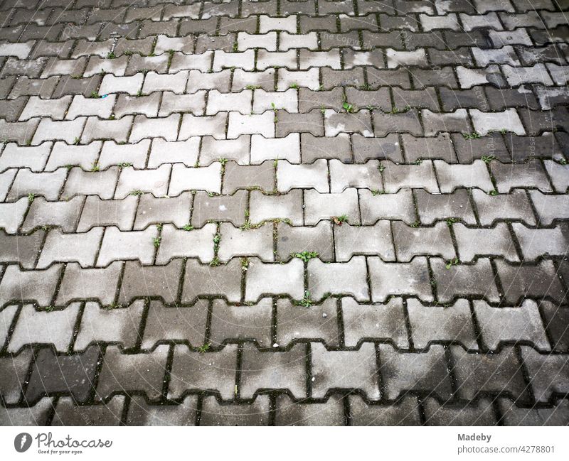 Drying grey interlocking pavement after rain in Adapazari, Sakarya province, Turkey paving composite paving Street off Sidewalk Pattern structure Surface Rhythm