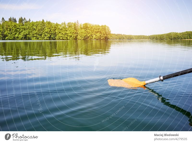 Kayak paddle in the water, selective focus. kayak sport nature canoe adventure lake river activity summer vacation oar equipment leisure journey recreation