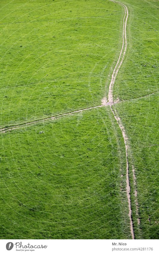 beaten path To go for a walk Meadow Grass Lawn Green Nature Park Lanes & trails cross Footpath Bird's-eye view Trail Tracks Landscape Environment Hiking Calm