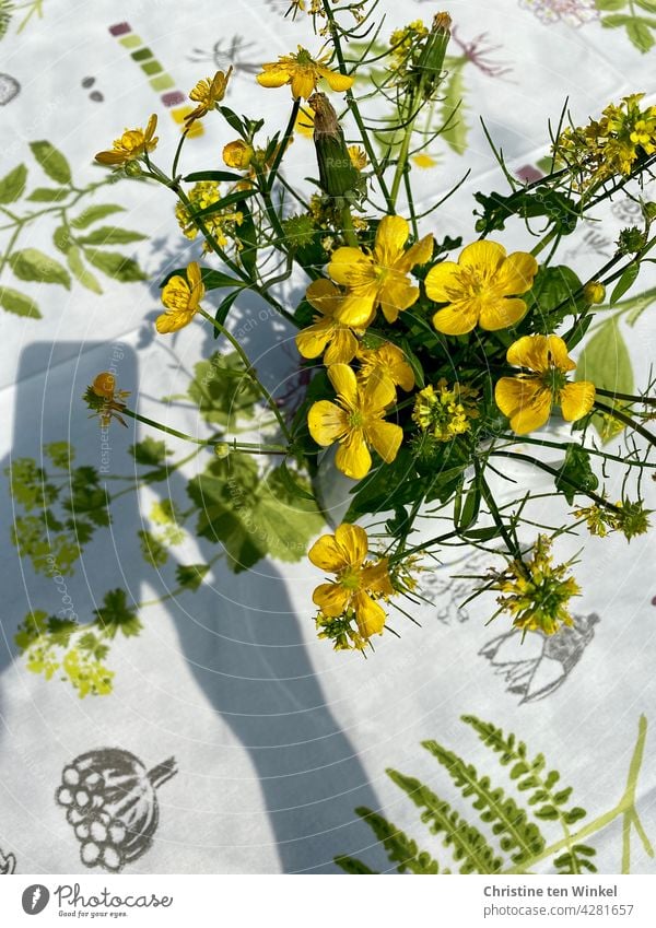 Photographing yellow flowers in the sunshine. Smartphone and hand shadow little flowers Bouquet Take a photo smartphone smartphone photography Light and shadow