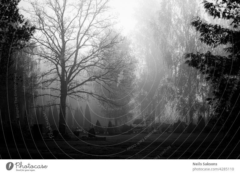 view on a graveyard with morning fog with tombstones and nobody there and grass and trees in spring cemetery Religion and faith dead cross Transience Funeral