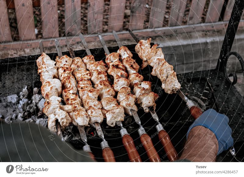 The chef prepares chicken shish kebab. Turkish Street food. Meat cooked over a fire, BBQ party in the backyard. Male hands in gloves hold steel skewers with delicious chicken shish-kebab
