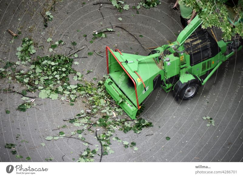 the AST swallower and leaf shredder Tree chipper Wood chipper Tree Shredder Wood Shredder Branch shredder Hacker Forestry Gardening and landscaping forestry