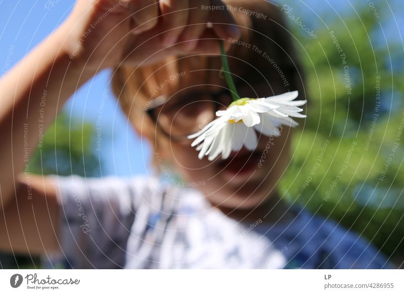 boy showing a daisy at the camera Style Design Garden Mother's Day Human being Emotions Gift Flower Colour photo Blossom Spring gifts Child Parents Nature