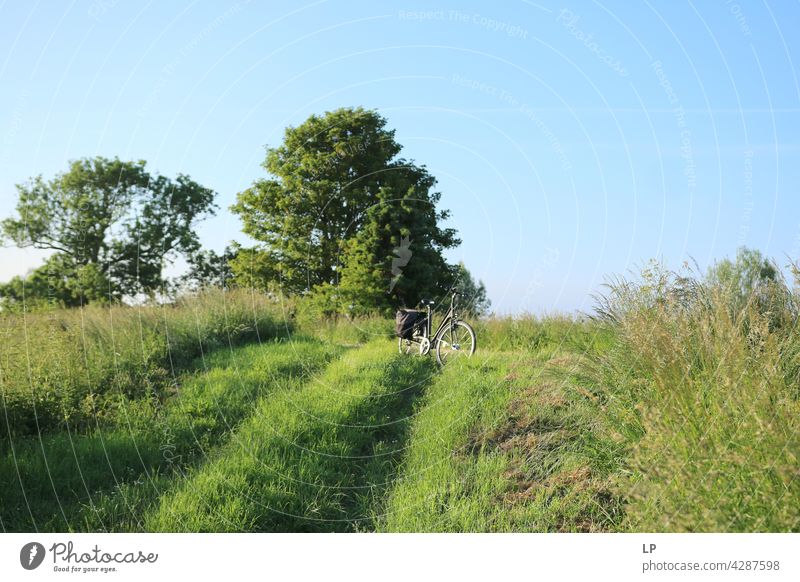 landscape with trees and bike Simple Well-being Cycling Leisure and hobbies Bicycle Happiness Broken Bicycle tyre activity Lifestyle Authentic touring bike rest