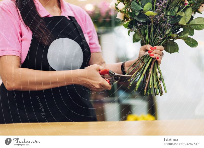 A professional female florist in an apron cuts the stem of flowers with scissors at the table. The concept of working with flowers, flower business. pruning