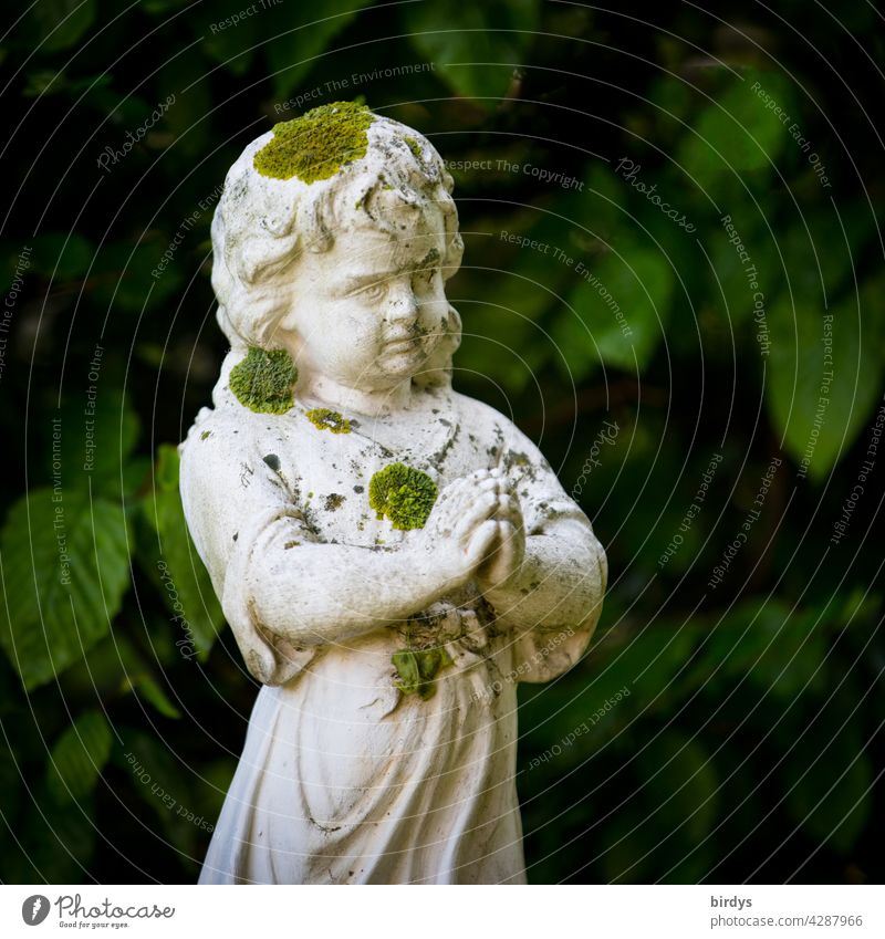 mossy, catholic, biblical child statue which prays. Angelic childlike representation of believing innocence. weak depth of field, portrait Statue Biblical