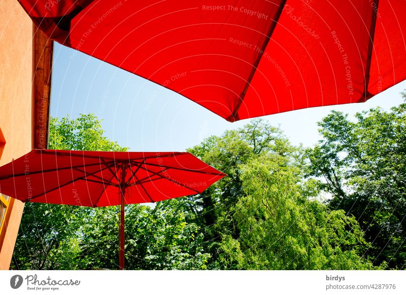hot summer. red sunshades on the terrace with blue sky surrounded by trees parasols Summer ardor Terrace at home Summery sun protection Summer vacation Blue sky