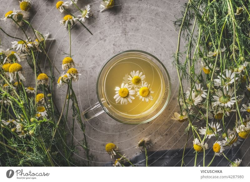 Close up of herbal chamomile tea in glass cup with fresh flowers. Top view close up bundle herbs autumn theme dark concrete background top view warming seasonal