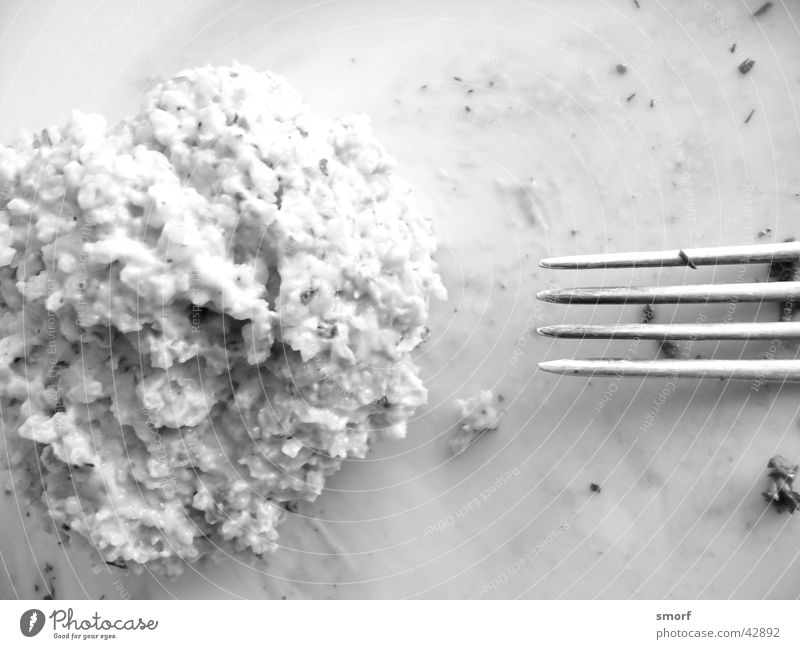 no yelling for green seed porridge Unripe spelt grains Puree Fork Style Healthy Vegetarian diet Macro (Extreme close-up) Black & white photo Food photograph