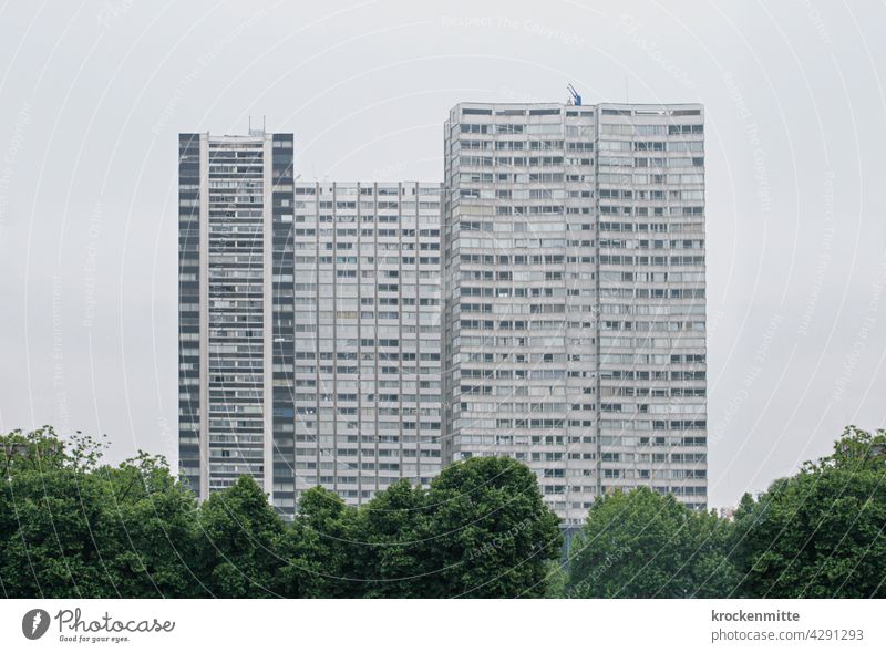 Paris - Housing complex in the 15th arrondissement with trees Residential complex Europe France Architecture Capital city Colour photo Deserted