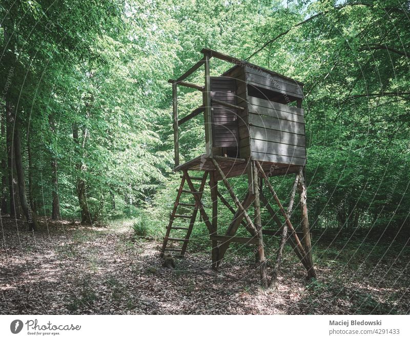 Wooden deer hunting blind in a forest, color toning applied. tower stand hide pulpit nature wilderness wood outdoors tree retro toned filtered