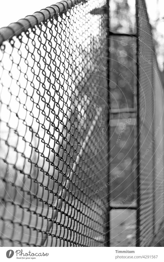 Fabric softener | Fence Grating Metal rods Wire netting cordon demarcation background Tree Black & white photo Shallow depth of field Deserted Safety Barrier