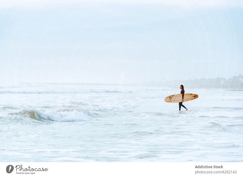 Surfer at the beach with surfboard man nature sunset wave outdoors walk wetsuit seacoast male sportsman surfing hobby surfer ocean seaside calm excited catch