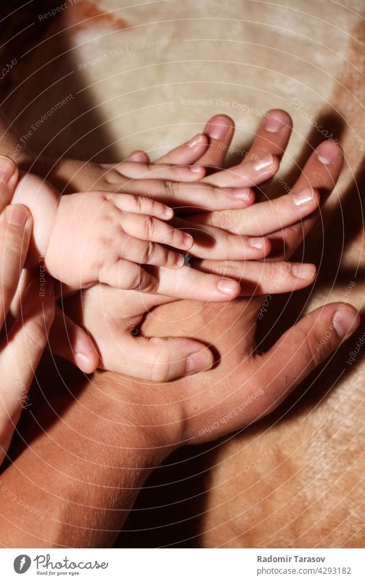 Hands of dad, mom and her kids Parents Love care Mother Little Child Father Family mama infant Protection Infancy people Girl youthful Participation Baby Birth