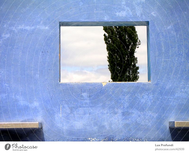 blue wall Wall (building) Tree Window Art Hannover Concrete wall Work of art Architecture Blue Modern World exposition Wall (barrier)