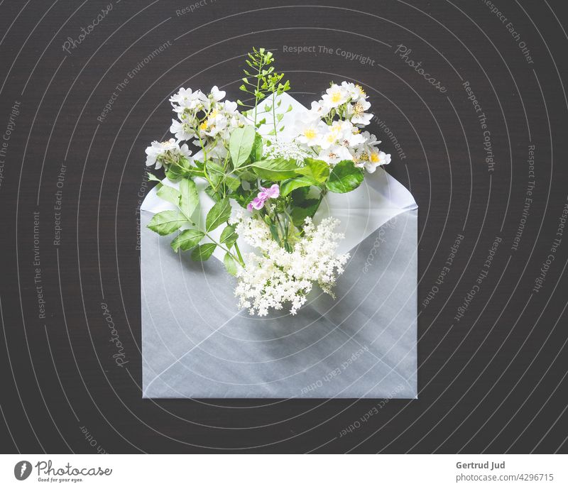 Envelope with a bouquet of spring flowers on a black background Flower Flowers and plants Blossom Still Life Plant Nature Colour photo Spring Summer Close-up