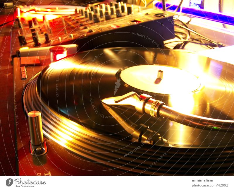 Let's dance! Colour photo Interior shot Shallow depth of field Night life Entertainment Party Event Music Club Disco Lounge Disc jockey Going out