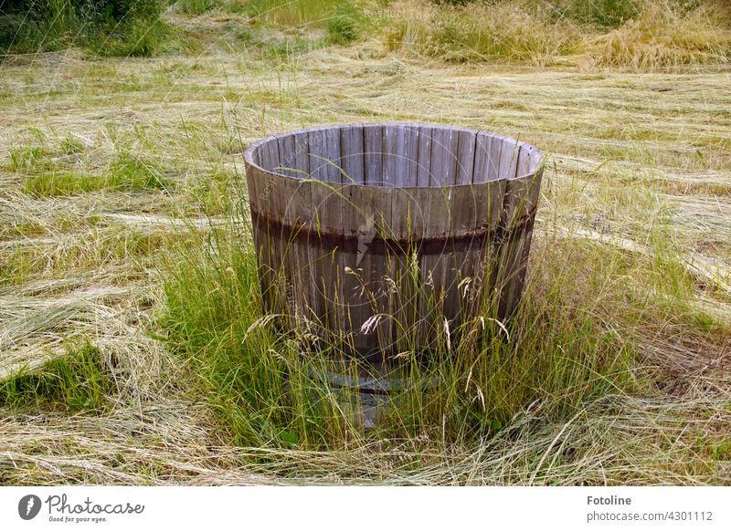 Fotoline would have loved to just take this beautiful old wooden barrel in the meadow. It would also look very good in her garden. Keg Wood Old Deserted