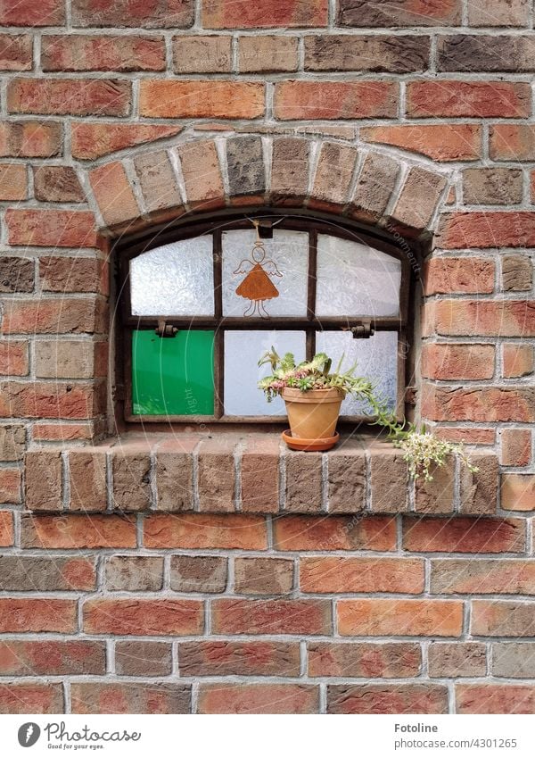 An extraordinary window with lovely details caught Fotoline's attention. This little angel, the flower pot and the single green pane are already a great combination.