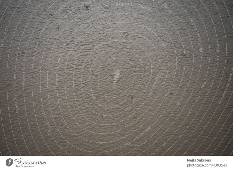 Texture with bubbles in water, autumn rain, circles and drops in puddle. Eco dark gray background texture spatter splash droplet raindrop liquid ripple weather