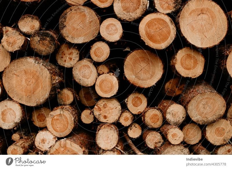 Pile of pinewood logs. Cut logs stacked. Variable size wood. deforestation tree timber woodpile firewood cut lumber nature trunk texture wooden brown bark