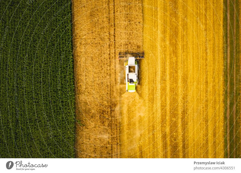 A modern combine harvester working on wheat field, aerial view business summer nature industry technology ripe crop agriculture harvesting grain rural tractor