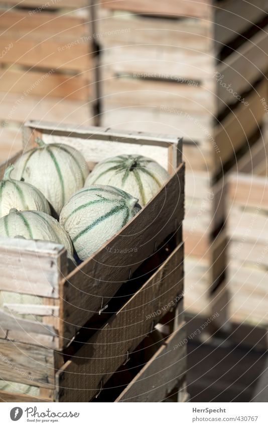 A load of melons Food Fruit Nutrition Packaging Wood Fresh Sweet Brown Green Melon Cantaloupe melon Honeydew Box of fruit Wooden box Arrangement Stack Delivery